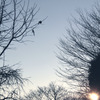 夕方の公園