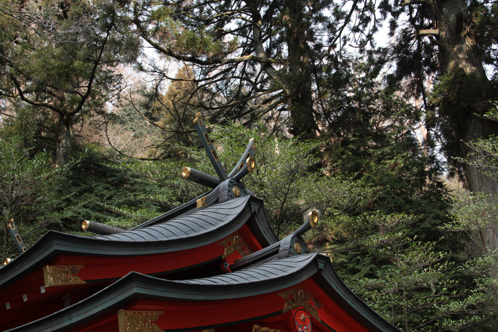 箱根神社　里宮