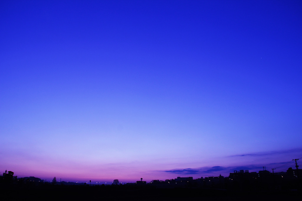 朝の青