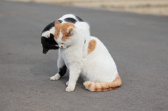 このやろ～～！！