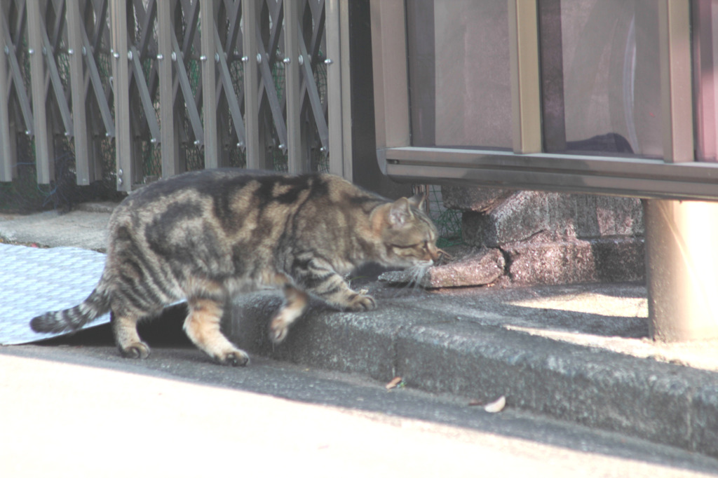 じゃ　下から失礼しますよ～