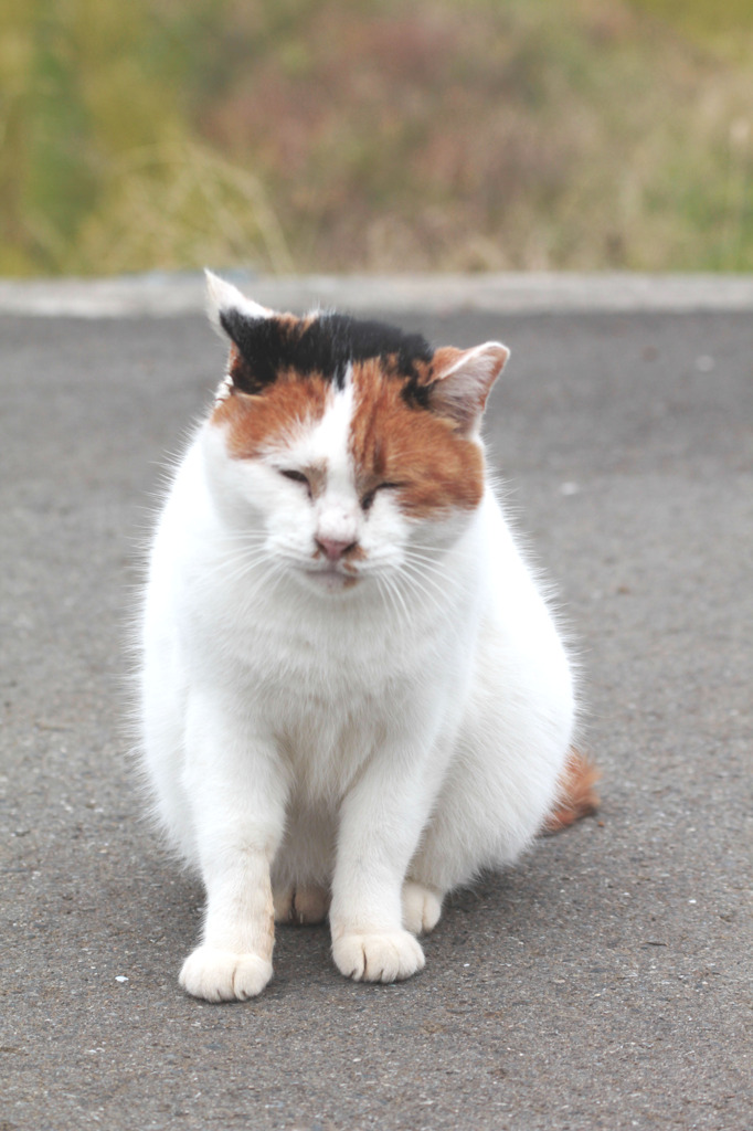ん～ん（＞＜）