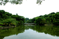 薬師池公園