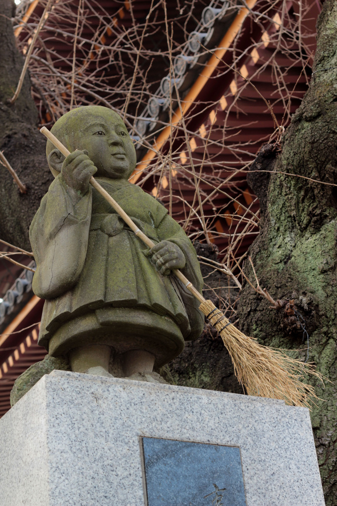 池上本門寺の住人