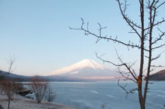 山中湖からのぞむ