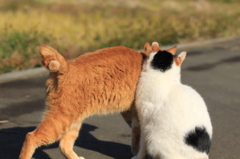 ごあいさつ
