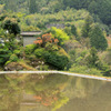 高知県梼原の水田