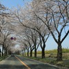 時速２０Km
