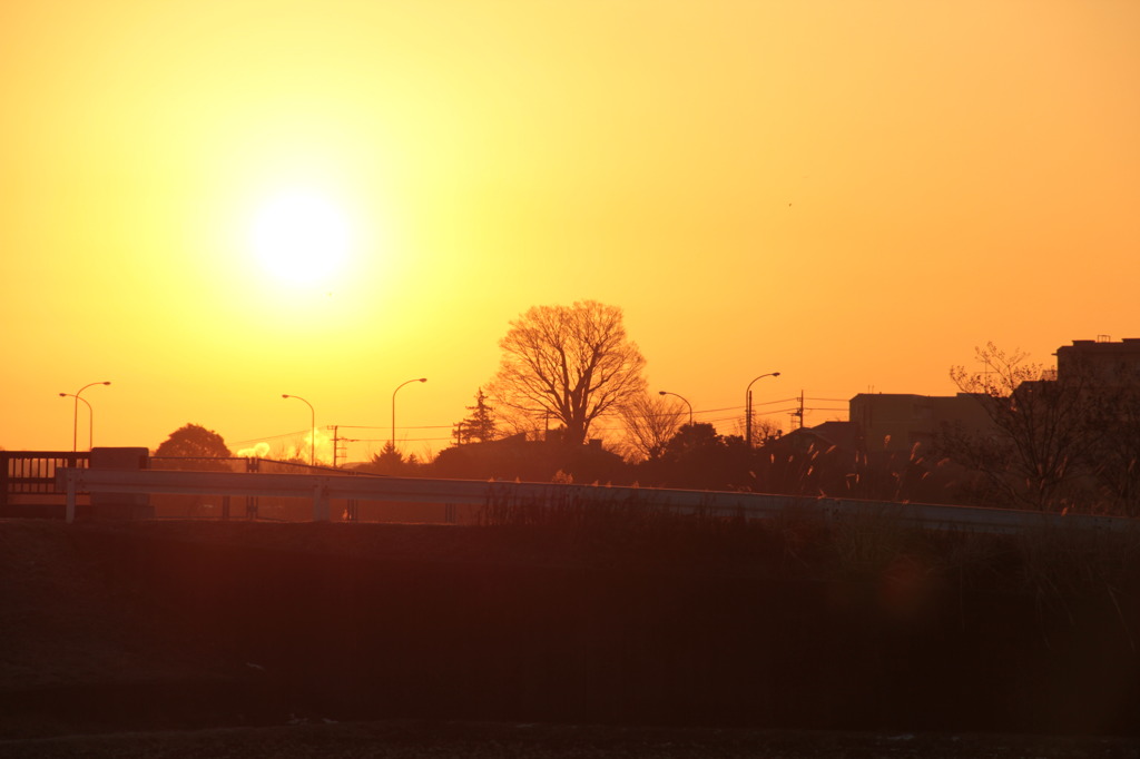 〔今朝の横浜〕2011.2.16