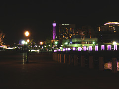横浜港　夜景