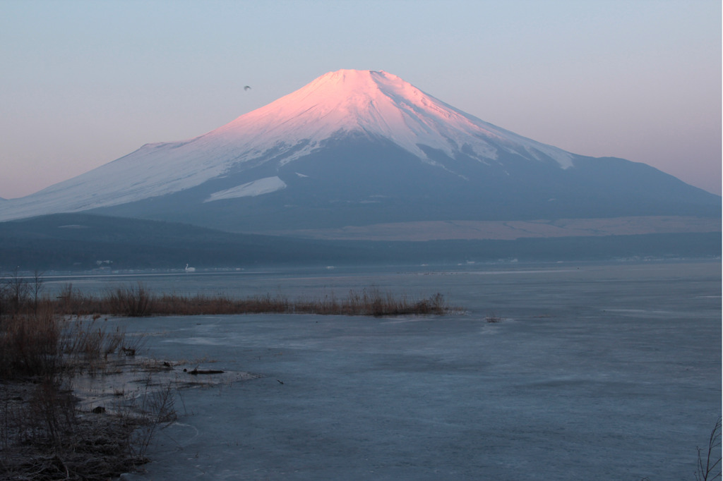 ピンク富士山