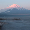 ピンク富士山