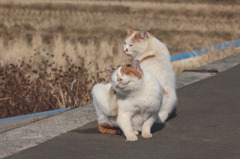 ね～聞いてる？