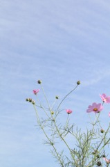 小さい秋み～～つけた