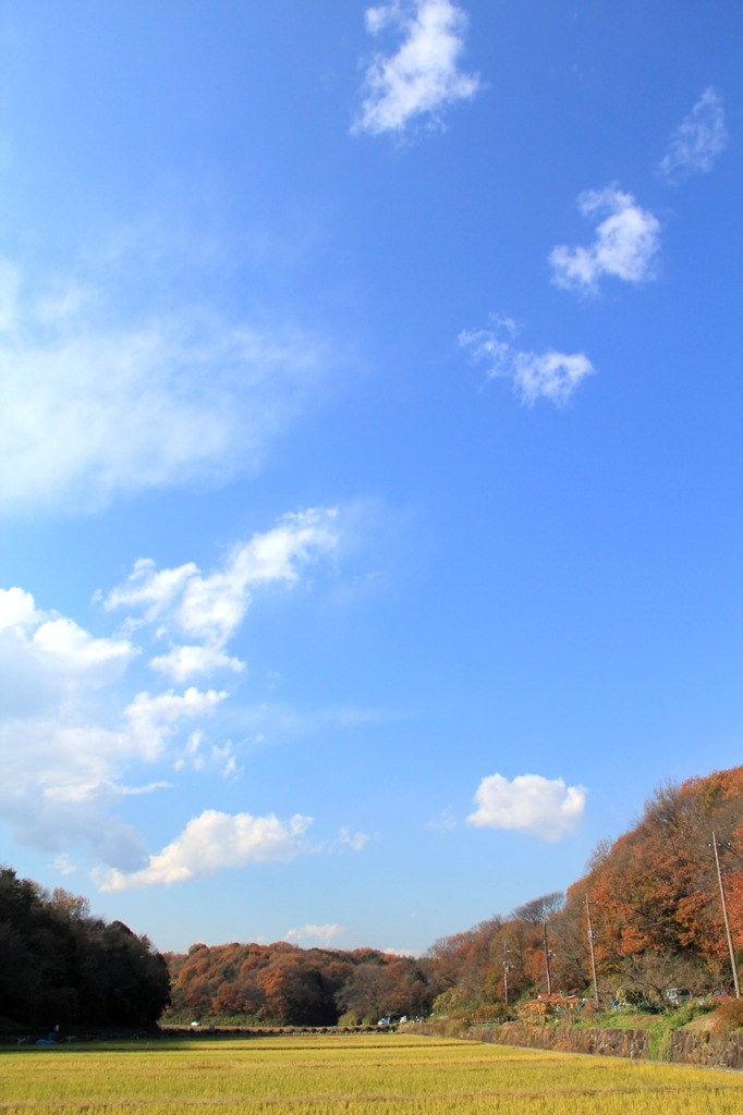 横浜のとある風景