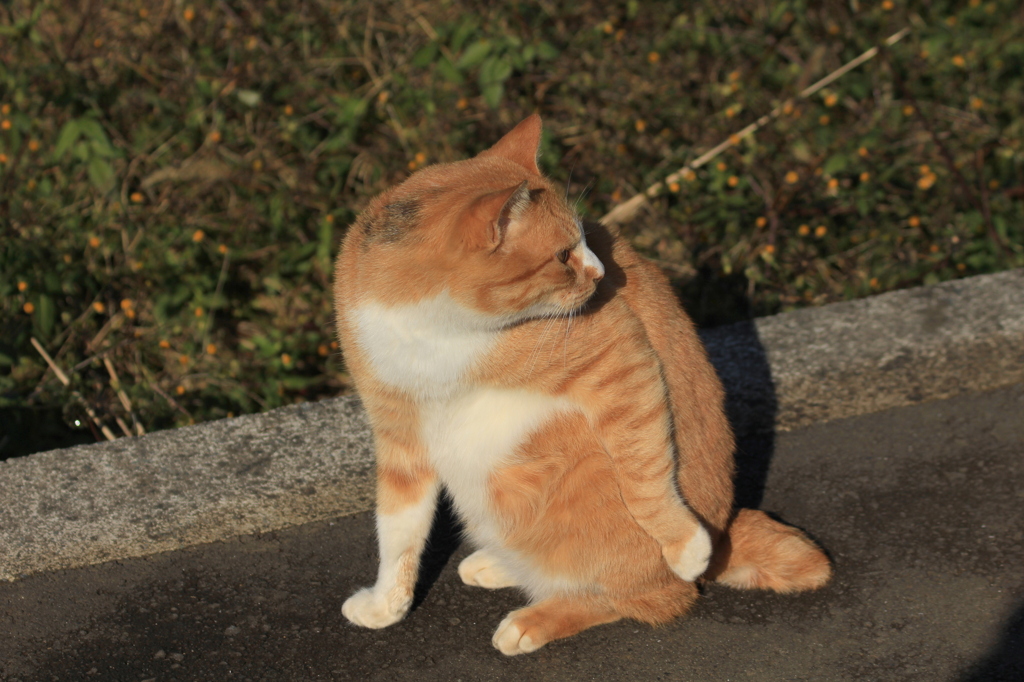 後ろの殺気・・・・