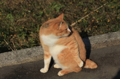 後ろの殺気・・・・