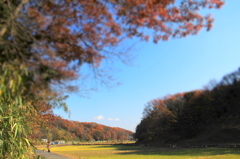 たまの　散歩道