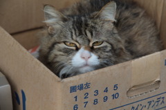 え～～っと！　　さぶいです～～