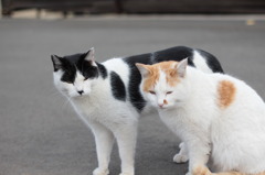 言いづらいんだけど