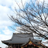 池上本門寺