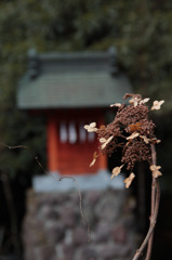 箱根神社の弁天様