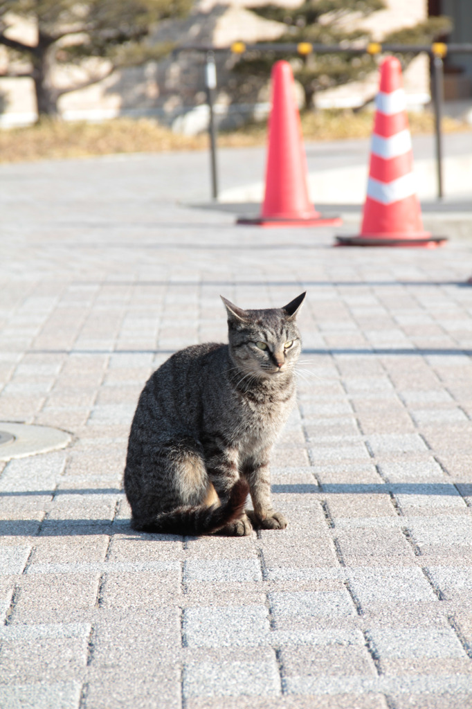 観光客をお出迎え