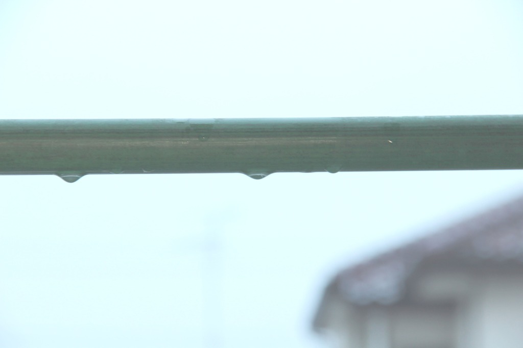 雨