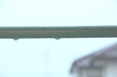 雨