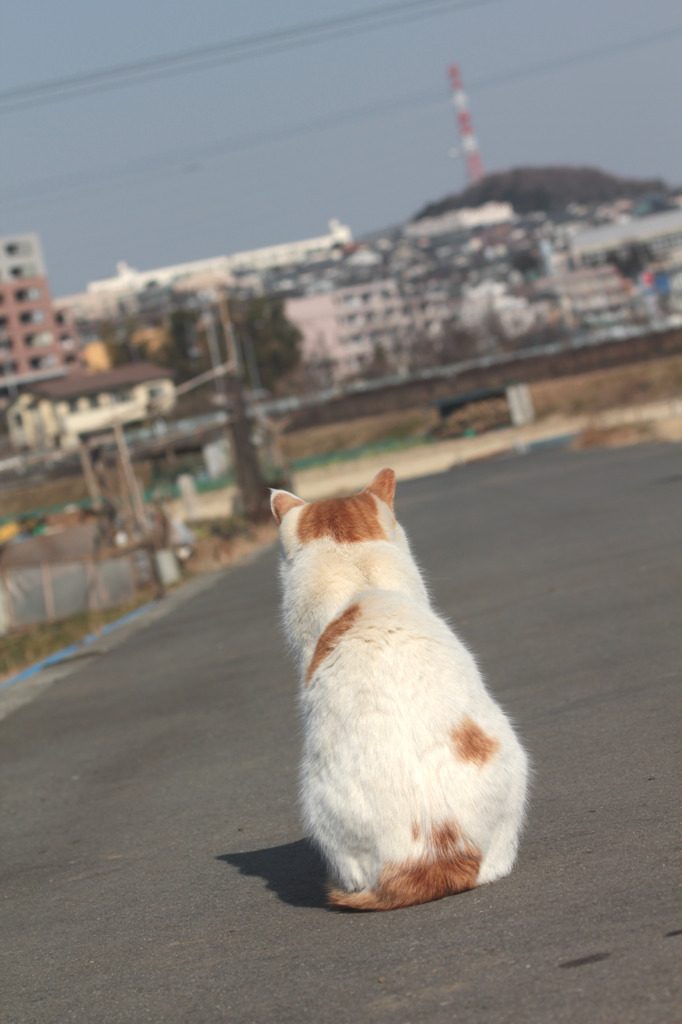 あっちの世界・・
