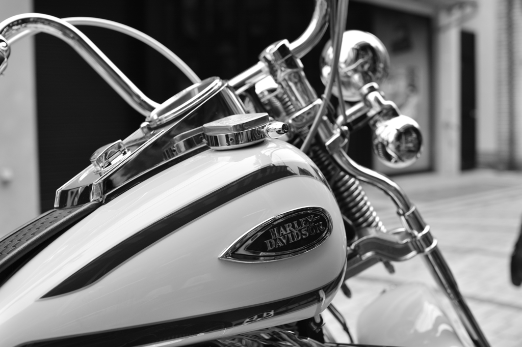 HARLEY-DAVIDSON 