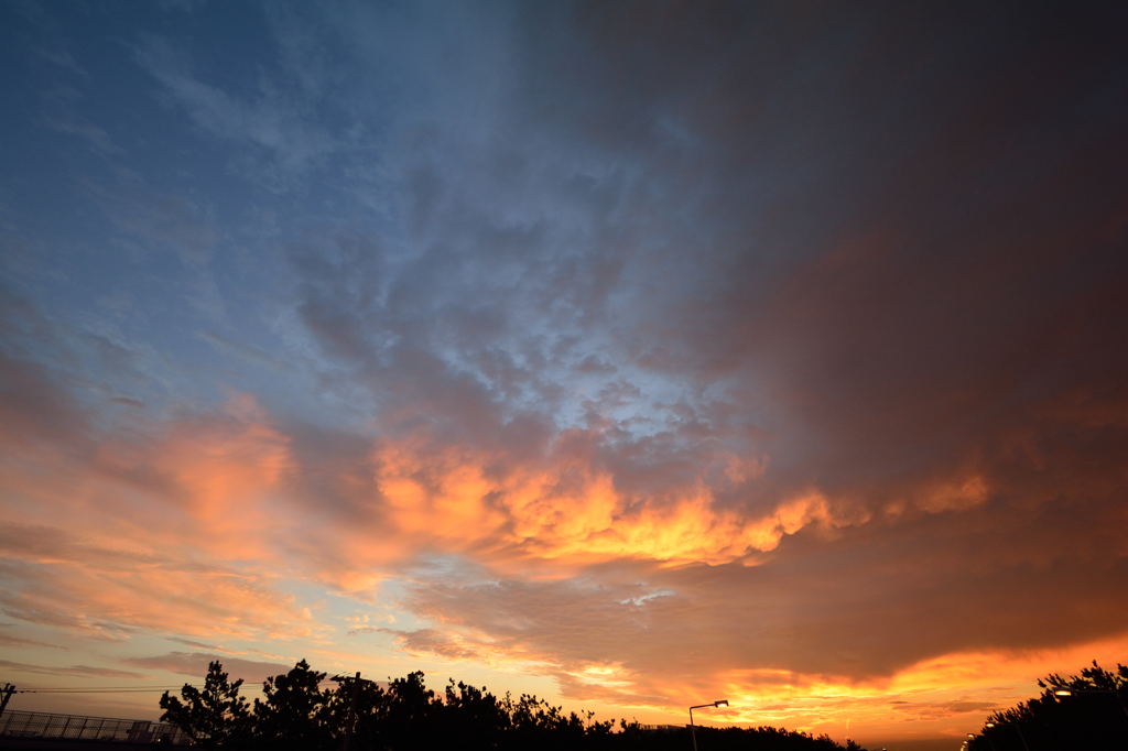 Nice sunrise