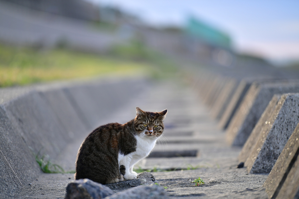 猫背と直線