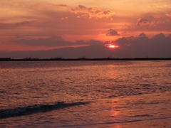 夕日