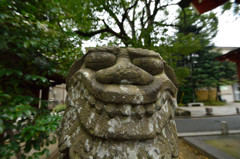 笑ってる