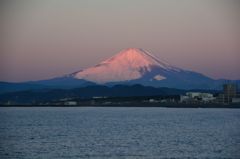 朝日に照らされて