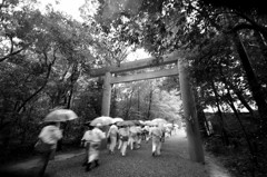 雨の伊勢神宮　外宮