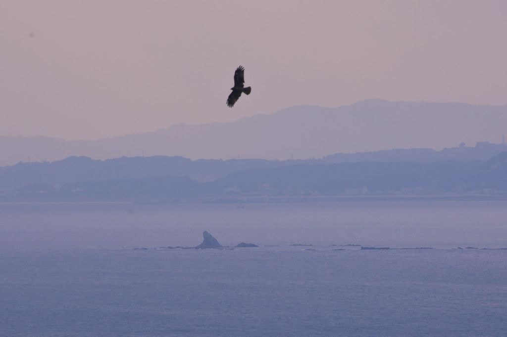 烏帽子岩を江ノ島から