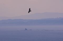 烏帽子岩を江ノ島から