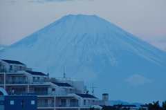 富士山　再び白く