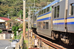 グリーン車に秋の味覚