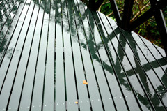 木製デッキが雨で鏡に