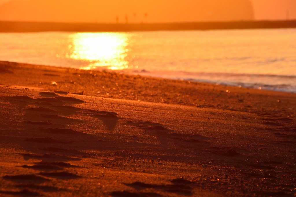Golden beach