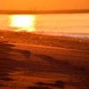 Golden beach