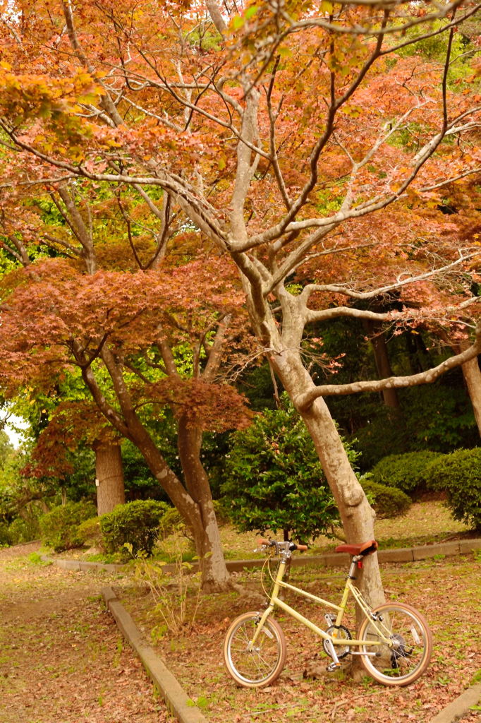 初秋　鎌倉