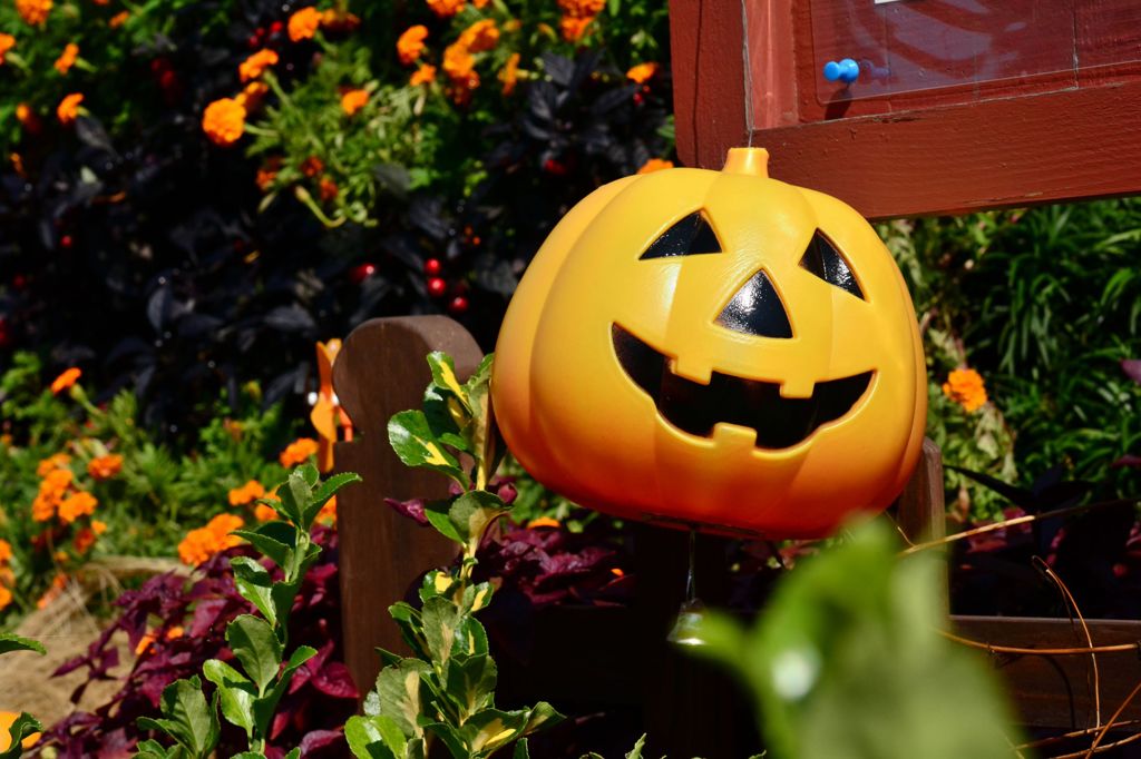 ハロウィン