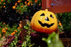 ハロウィン