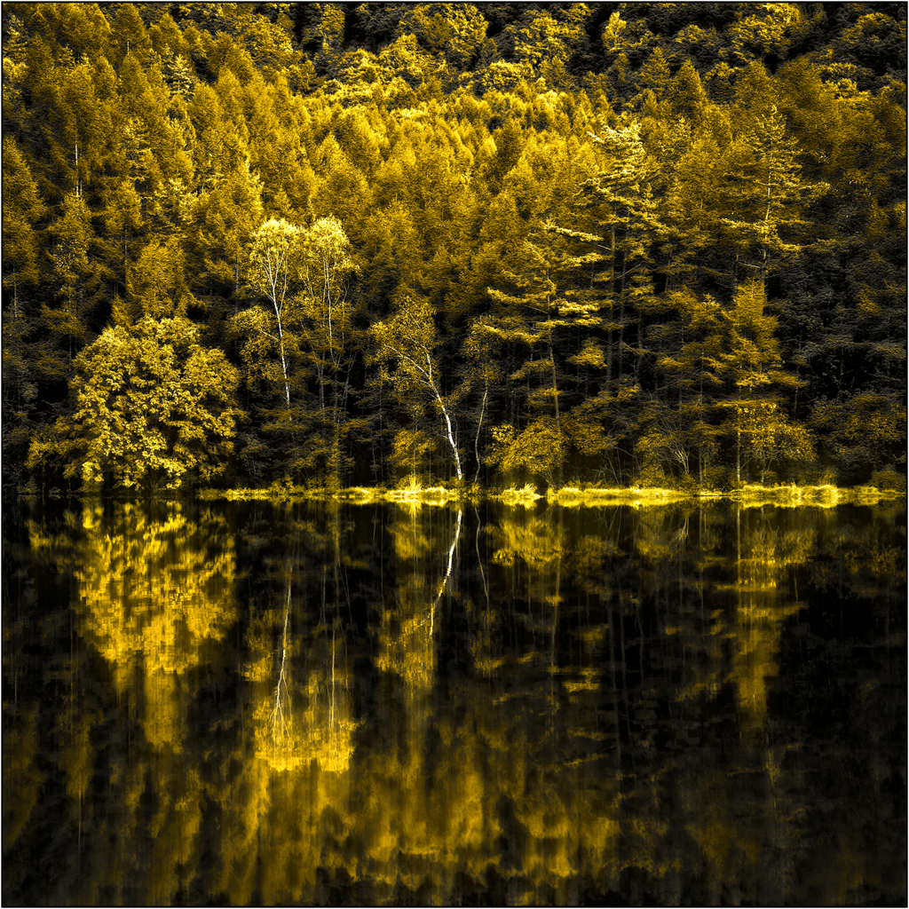 Yellow magic lake
