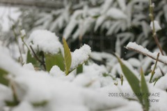 2011.01.16