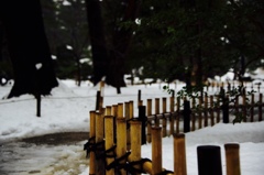 thumb_IMG_3449_1024